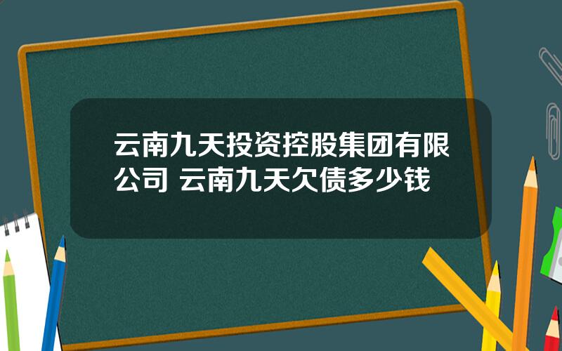 云南九天投资控股集团有限公司 云南九天欠债多少钱